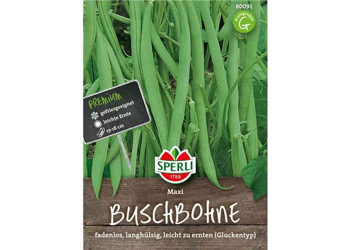 Busch-Bohne 'Maxi'
