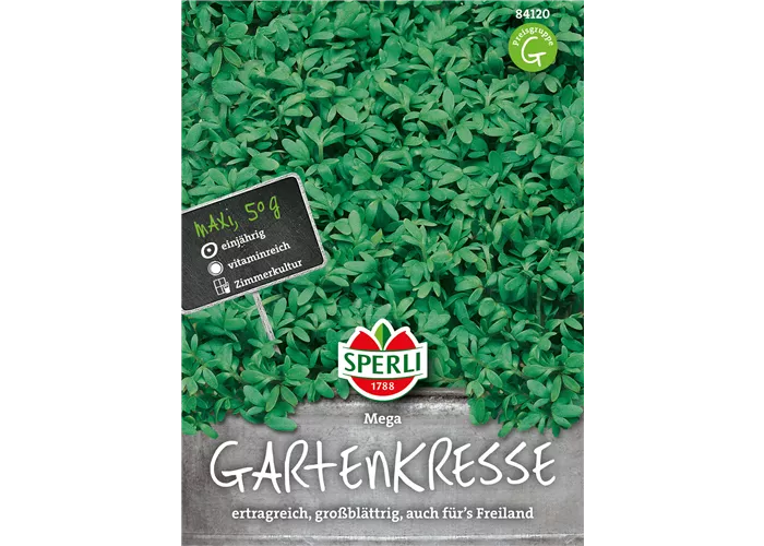 Großblättrige Gartenkresse 'Mega'