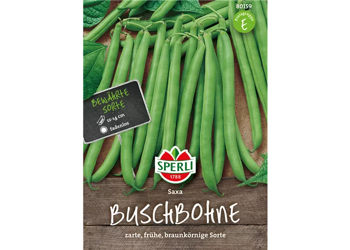 Busch-Bohne 'Saxa'
