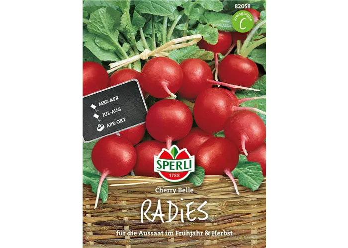 Radieschen 'Cherry Belle'