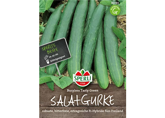 Gurke 'Burpless Tasty Green F1'