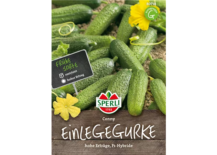 Einlegegurke 'Conny F1'