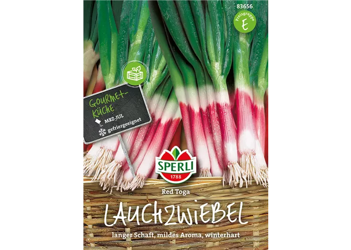 Lauchzwiebel 'Red Toga'