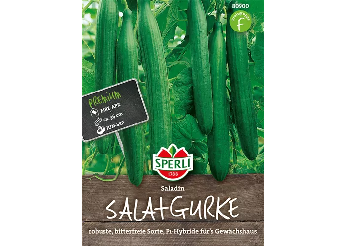 Gurke 'Saladin'