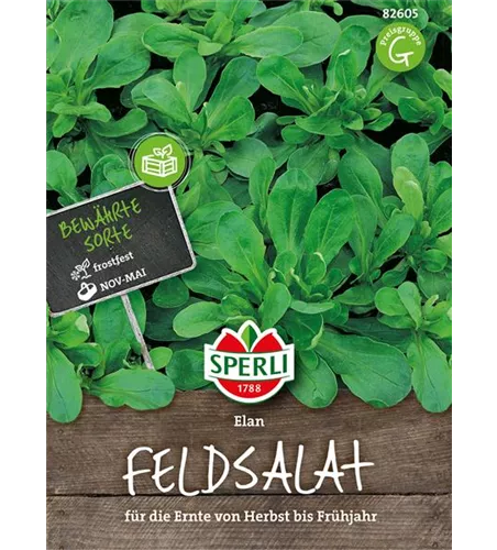 Feldsalat 'Elan'