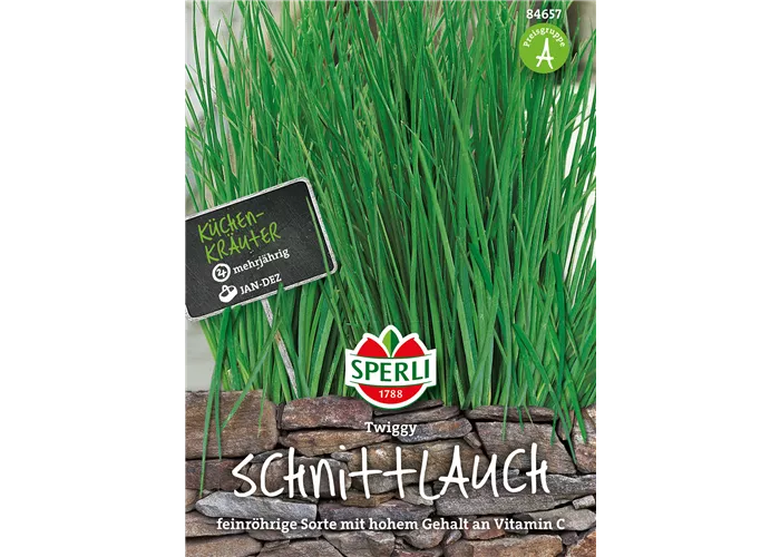 Schnittlauch 'Twiggy'