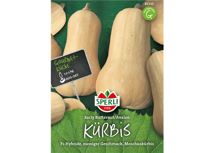 Butternuss-Kürbis 'Avalon'