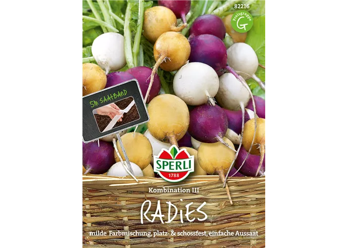 Radieschen Kombination 'Zlata, Viola, Albena'
