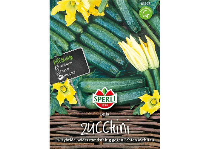 Zucchini 'Leila F1' Zucchini 'Leila F1'