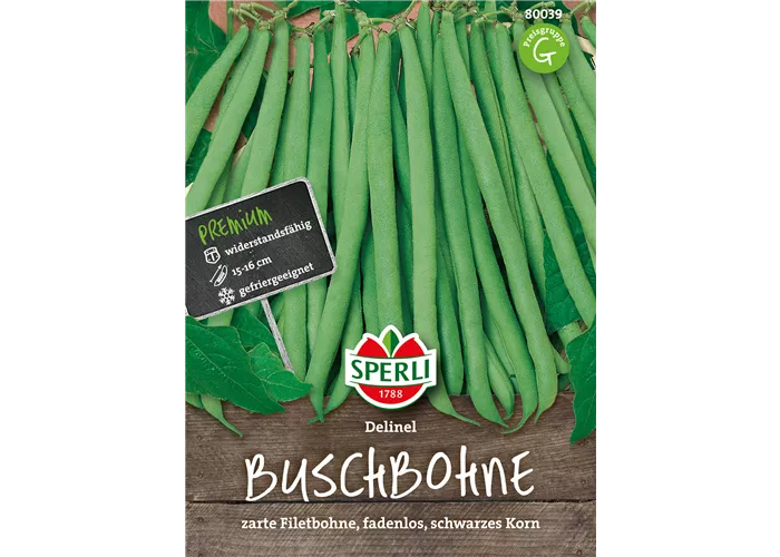 Busch-Bohne 'Delinel'