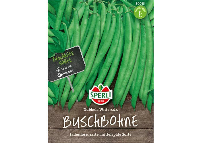 Busch-Bohne 'Doppelte holländische Prinzess'