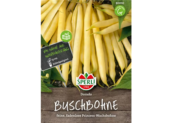 Buschbohne 'Dorado'