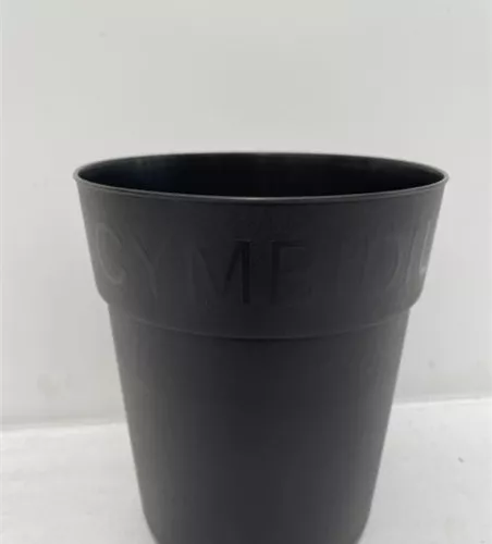 Spezial Cymbidiumtopf