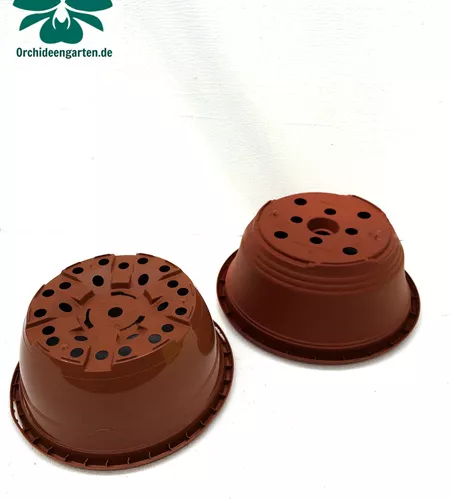 Pflanzschale für Flachwurzler