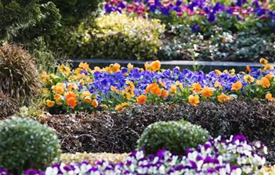 Das Grab im Lauf der Jahreszeiten Das Grab im Lauf der Jahreszeiten