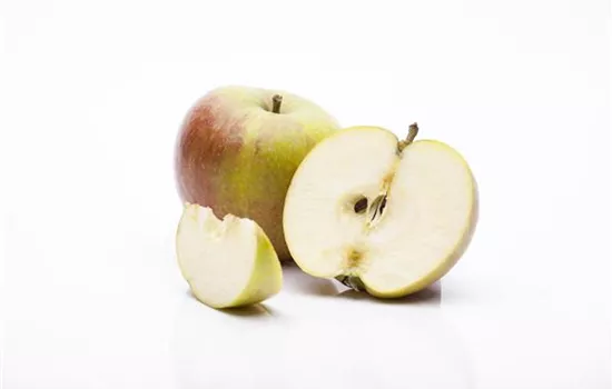 Apfel 'Cox Orangenrenette' Apfel 'Cox Orangenrenette'