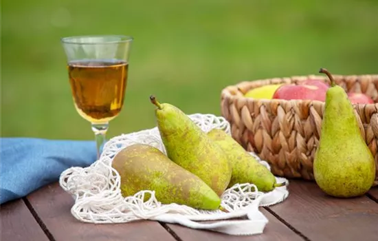 Birnen aus dem eigenen Garten genießen Birnen aus dem eigenen Garten genießen