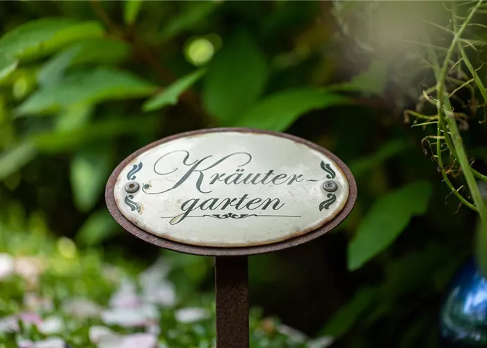 Ernte ohne Garten - Im duftenden Kräutergarten auf dem Balkon