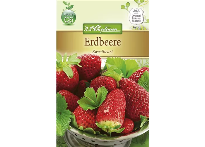 Erdbeersamen 'Sweetheart'