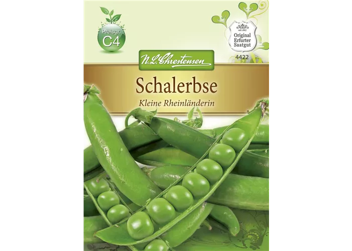 Erbsensamen 'Kleine Rheinländerin'