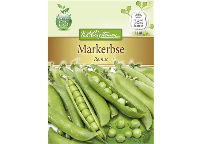 Erbsensamen 'Remus'