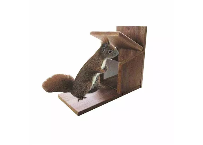 AP.HOSS Futterstation Eichhörnchen 27 cm AP.HOSS Futterstation Eichhörnchen 27 cm